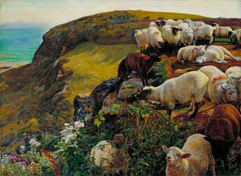 Unsere englischen Küsten, 1852 (Verirrte Schafe)